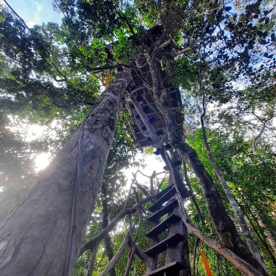 Mariri Jungle Lodge Alto Paraíso de Goiás Kültér fotó