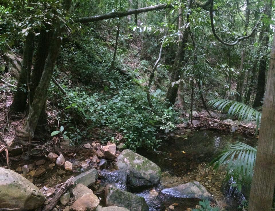 Mariri Jungle Lodge Alto Paraíso de Goiás Kültér fotó