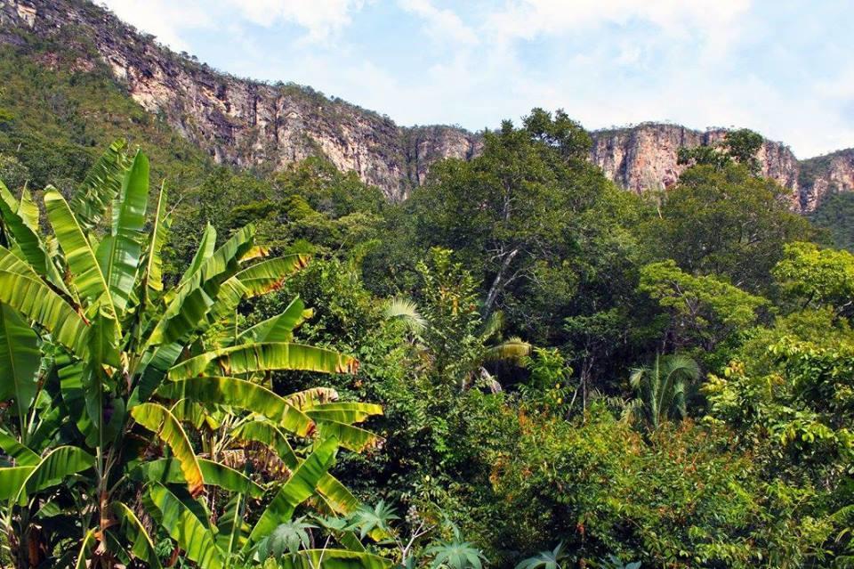 Mariri Jungle Lodge Alto Paraíso de Goiás Kültér fotó