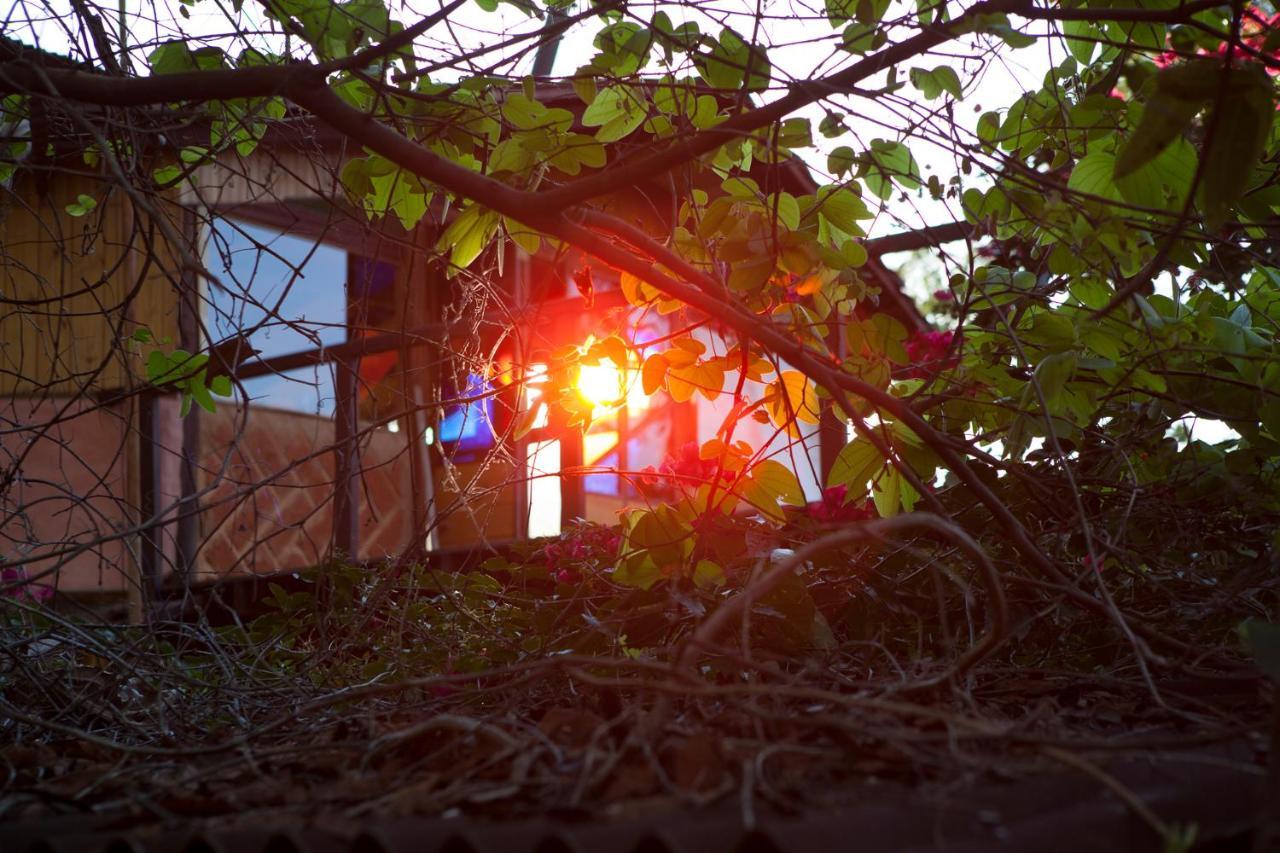 Mariri Jungle Lodge Alto Paraíso de Goiás Kültér fotó