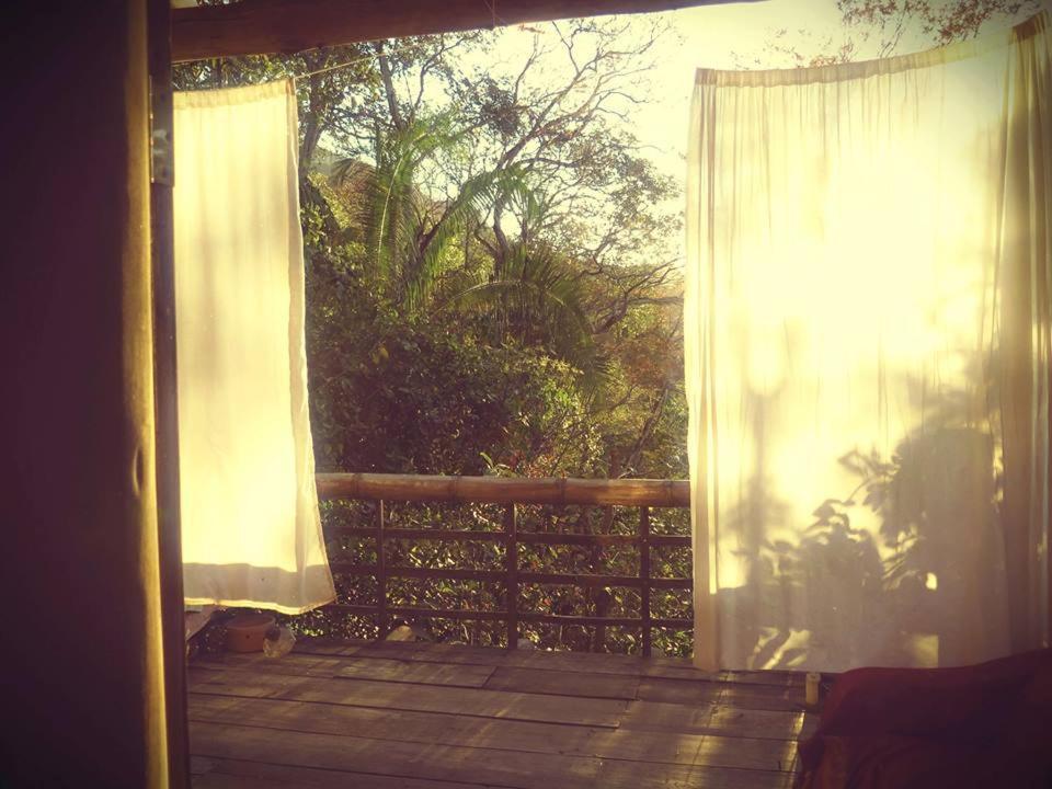 Mariri Jungle Lodge Alto Paraíso de Goiás Kültér fotó